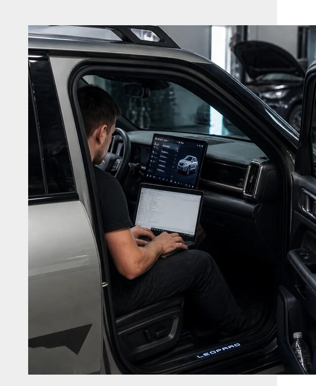 Русификация BYD Leopard 3 в Стрежевом по цене от 20288 р. | ФастМобиль-Стж